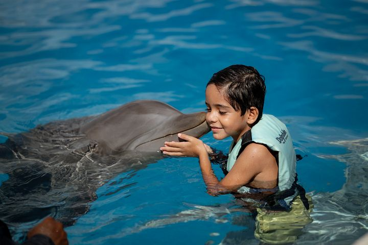 Dolphin discovery Punta Cana 720x480